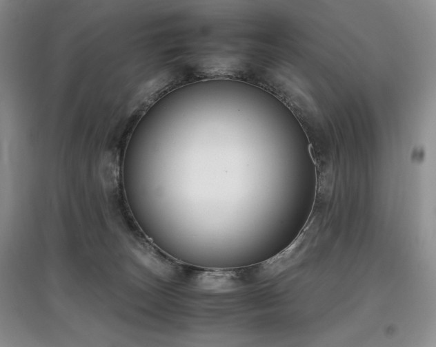 X0000097800179200803141102