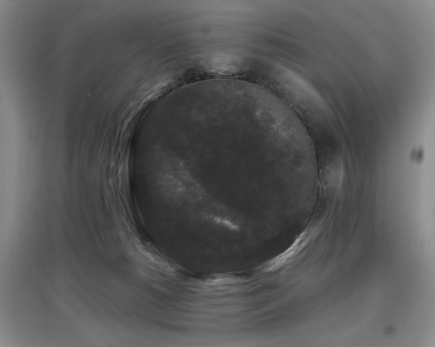 X0000097800180200803141102