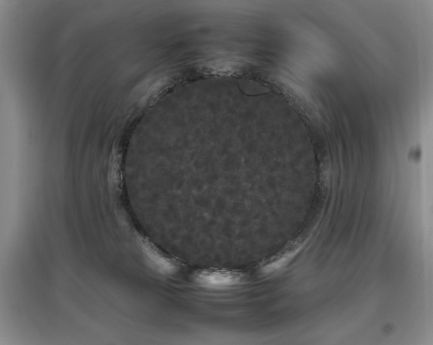 X0000097800181200803141102