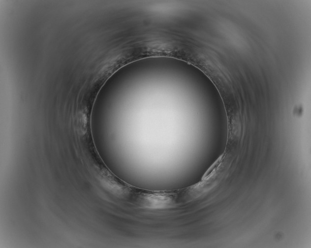 X0000097800183200803141102