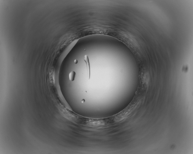 X0000097800185200803141102