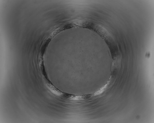 X0000097800186200803141102