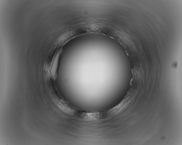 X0000097800188200803141102