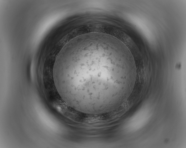 X0000097800189200803141102