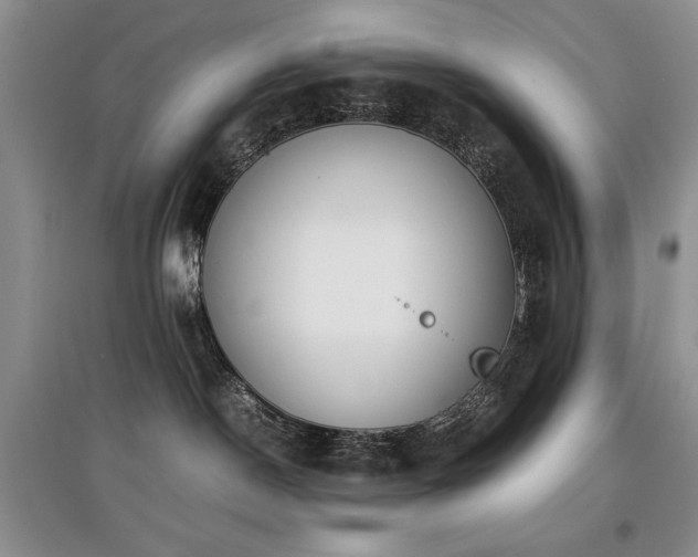 X0000097800190200803141102