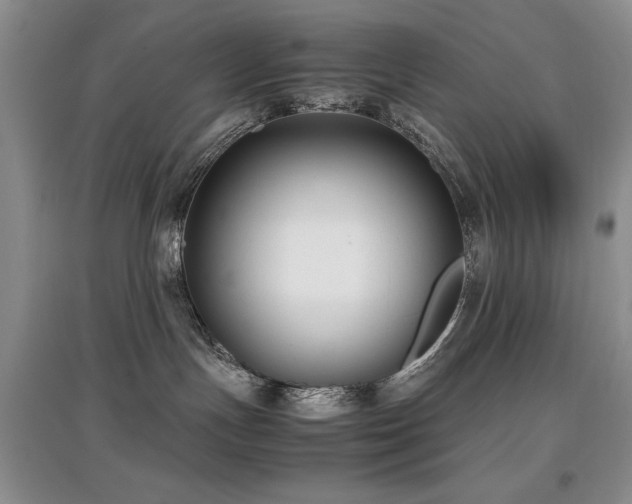 X0000097800191200803141102