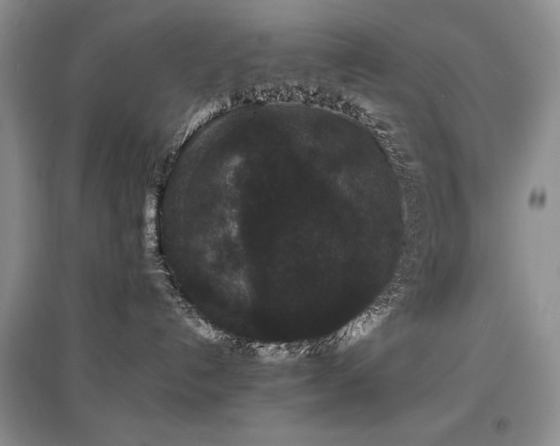 X0000097800192200803141102