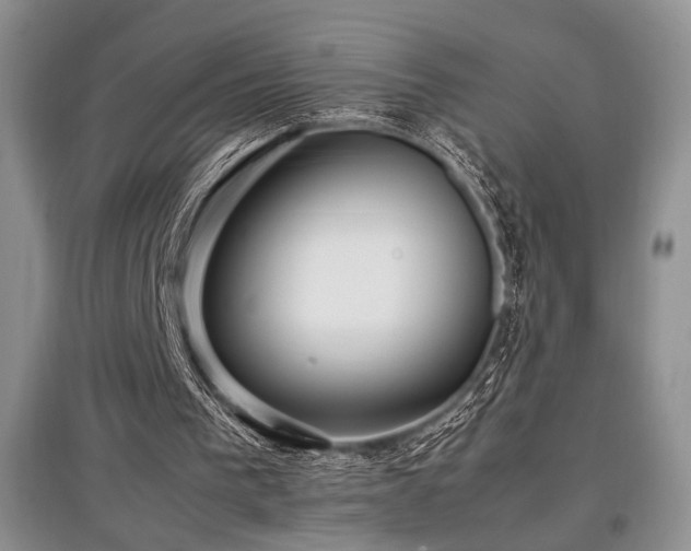 X0000097800193200803141101