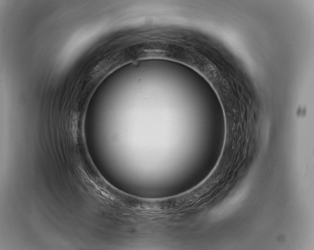 X0000097800194200803141101