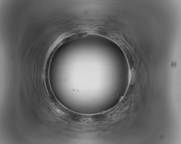 X0000097800195200803141101