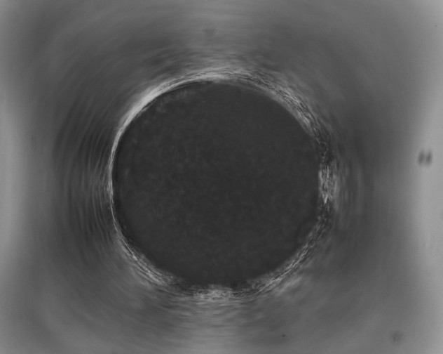 X0000097800196200803141101