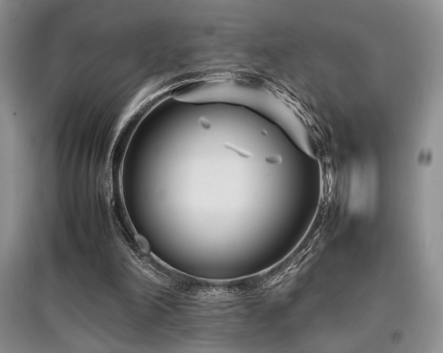 X0000097800198200803141101