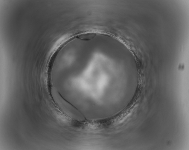 X0000097800199200803141101