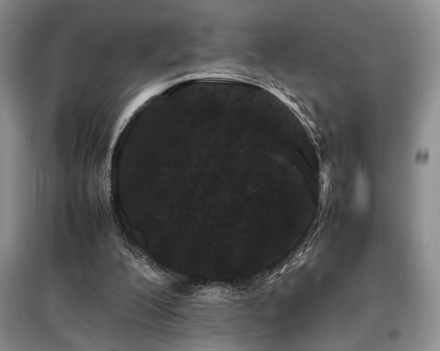 X0000097800200200803141101