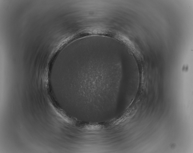 X0000097800202200803141101