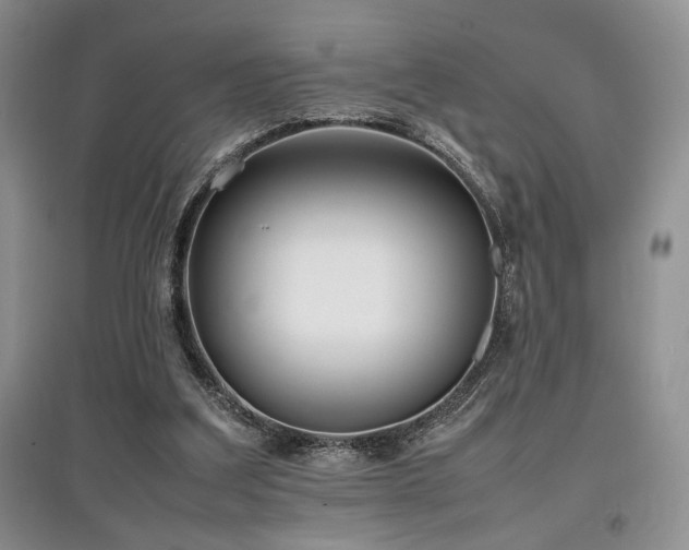 X0000097800203200803141101