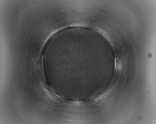 X0000097800204200803141101