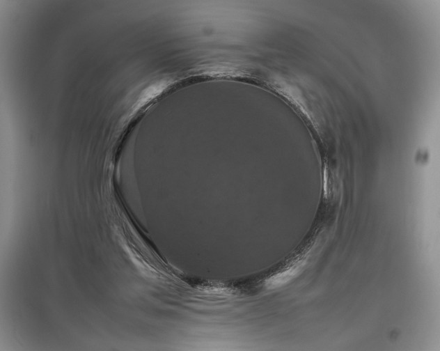 X0000097800205200803141101