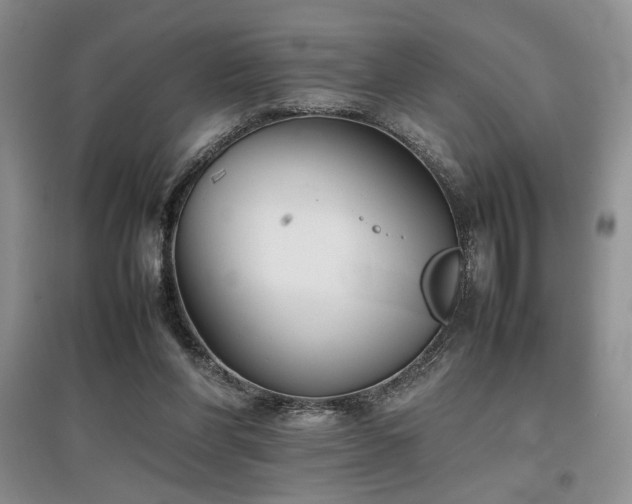 X0000097800206200803141101