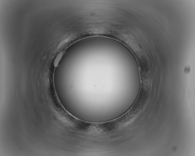 X0000097800207200803141101