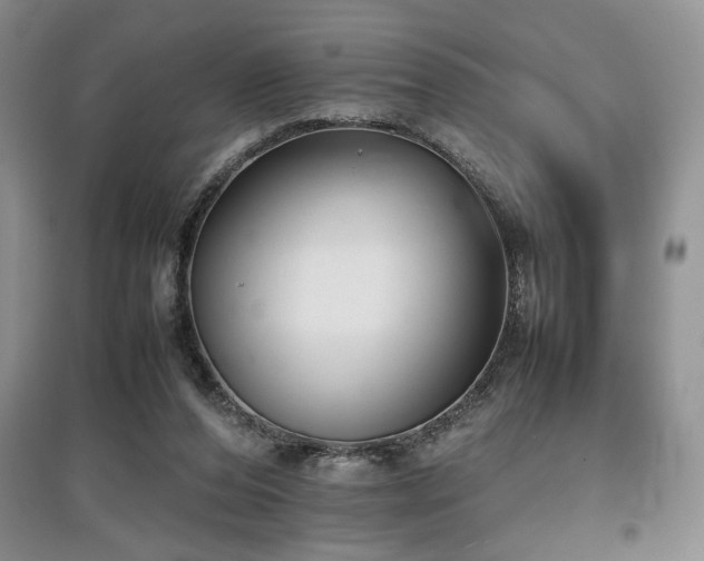 X0000097800208200803141101