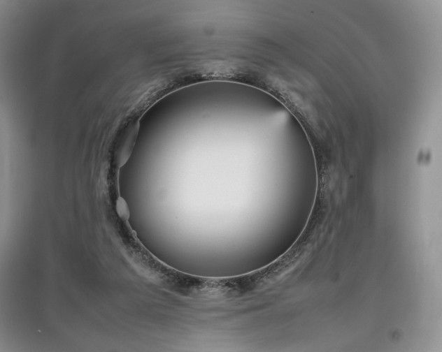 X0000097800209200803141101