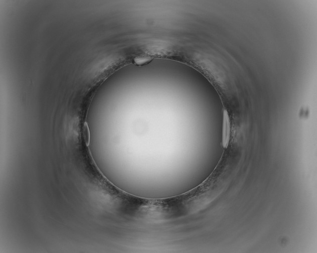 X0000097800211200803141101