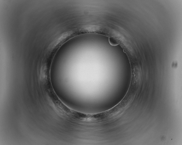 X0000097800212200803141101