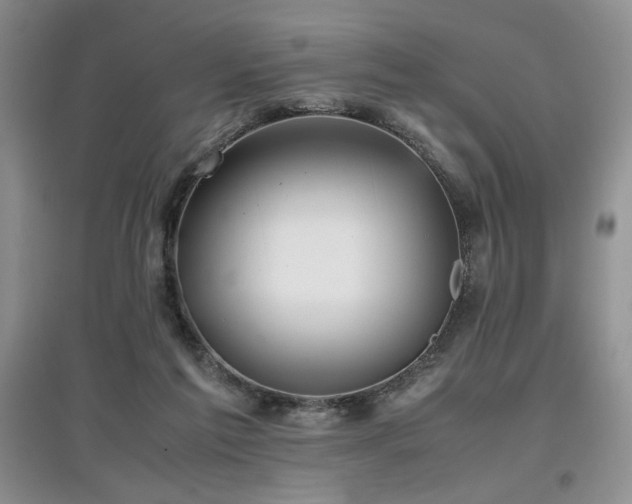 X0000097800213200803141101