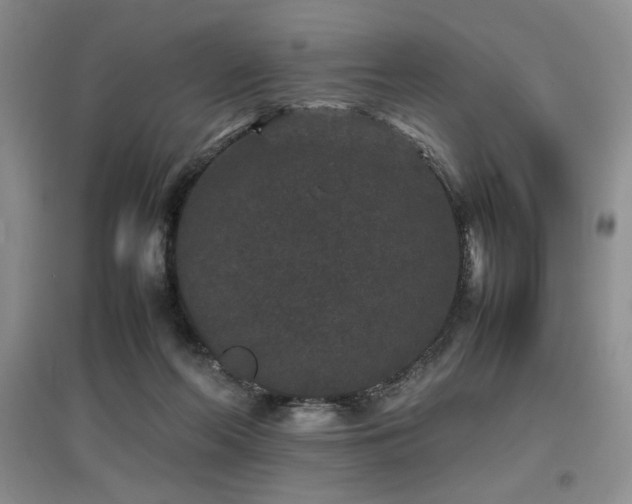 X0000097800214200803141101