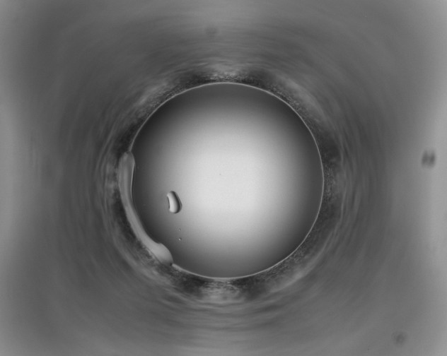 X0000097800215200803141101