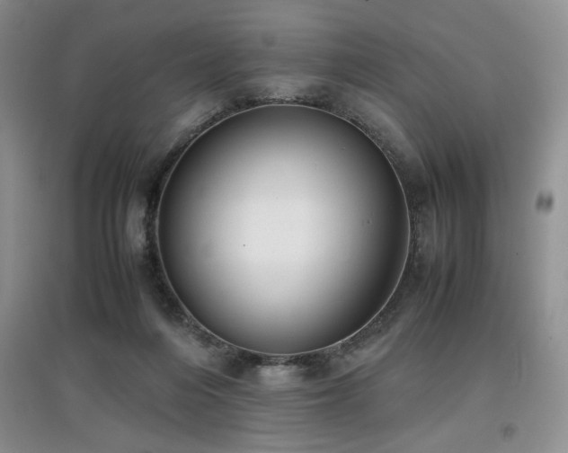 X0000097800216200803141101