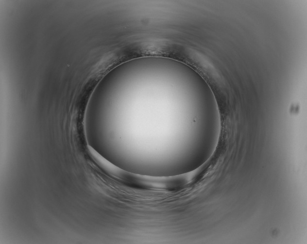 X0000097800217200803141101