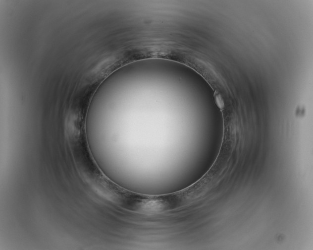 X0000097800218200803141101