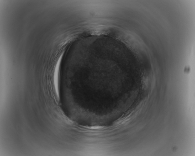 X0000097800219200803141101