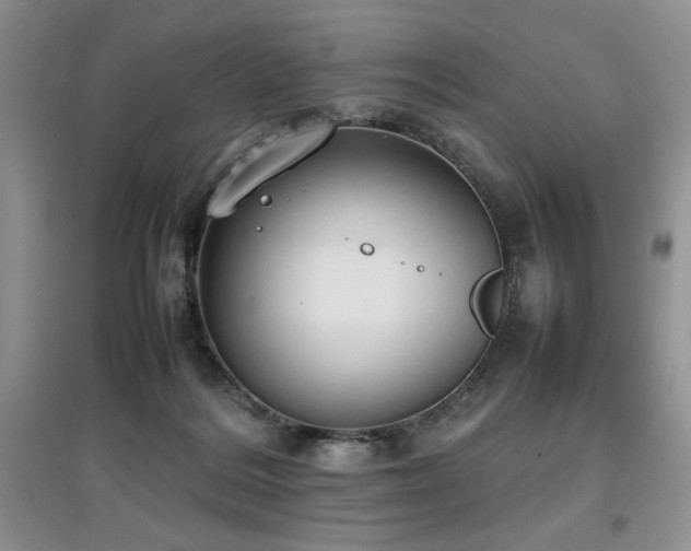 X0000097800220200803141101