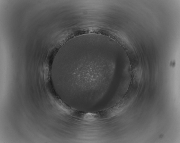 X0000097800222200803141101