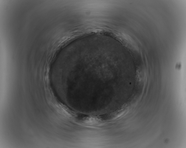 X0000097800223200803141101