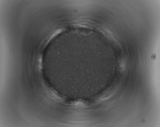 X0000097800224200803141101