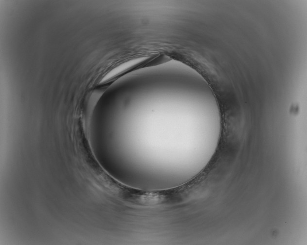 X0000097800225200803141101