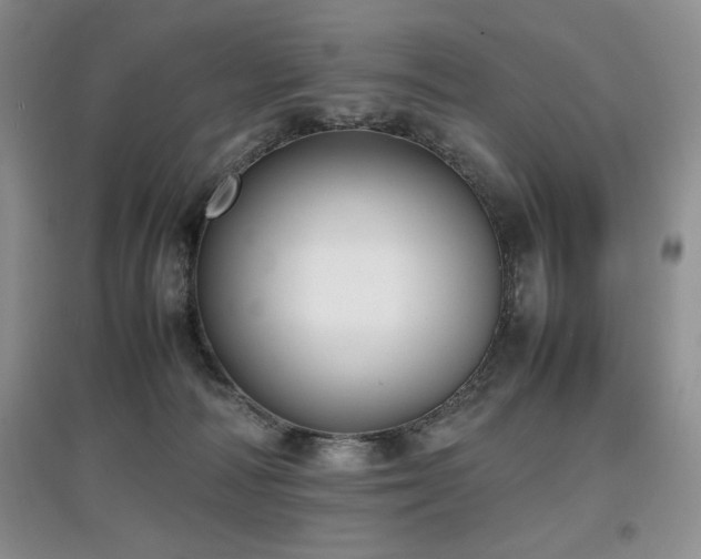 X0000097800226200803141101