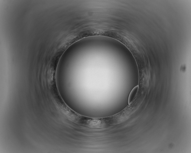 X0000097800230200803141101