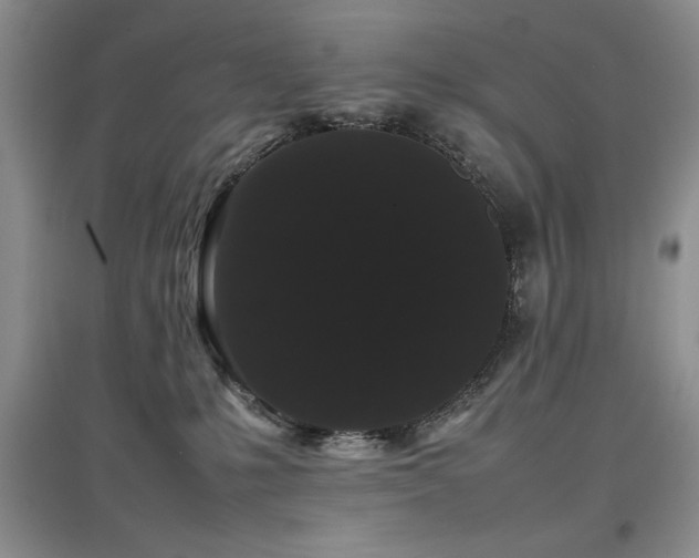 X0000097800231200803141101