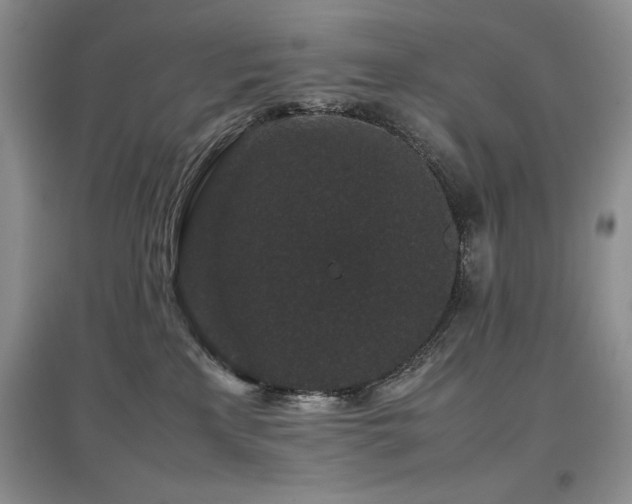 X0000097800233200803141101