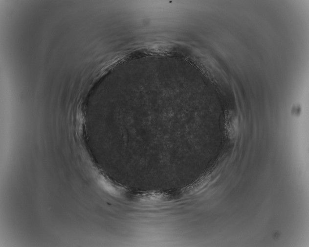 X0000097800235200803141101