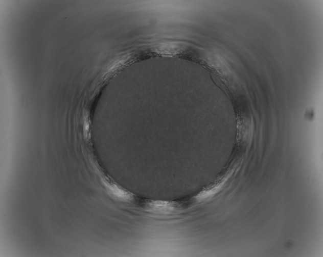 X0000097800237200803141101