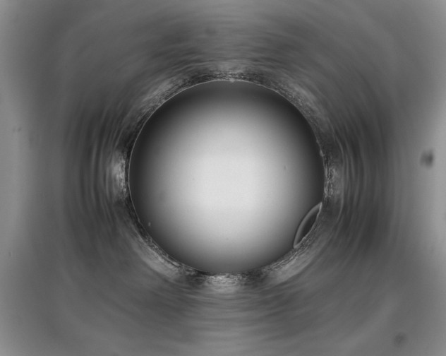 X0000097800238200803141101