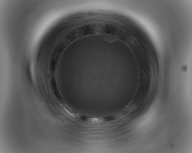 X0000097800239200803141101