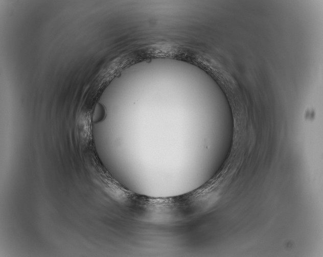 X0000097800240200803141101