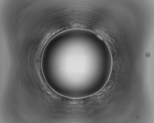 X0000097800241200803141100